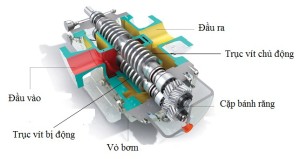 Đặc điểm cấu tạo máy bơm trục vít