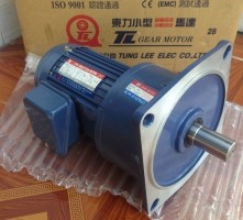 Bên bạn bán cả mô tơ khuấy Tunglee à, model PF22-0200-20s3