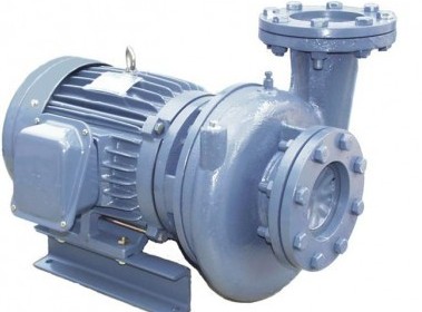 Máy bơm nước Teco 10 Hp (7.5kw)